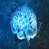 Neurology :: Neurology and Neurological Disorders