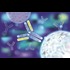 Immunometabolism :: Immunology and Personalized Medicine