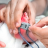 Newborn Screening and Early Detection Programs :: Advanced Pediatrics and Neonatology