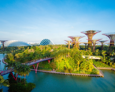 Gardens-by-the-Bay-–-Supertree-Grove.