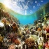 Ocean Acidification :: Earth Science and Climate Change