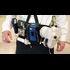 Wearable & Artificial Kidney Devices :: Nephrology & Urology