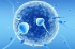 Reconstructive Urology & Andrology Integration :: Nephrology & Urology
