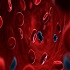 Metabolic Frontiers :: Diabetes and Endocrinology