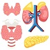 The Endocrine Edge :: Diabetes and Endocrinology