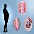 Metabolic Syndrome & Obesity :: Diabetes and Endocrinology