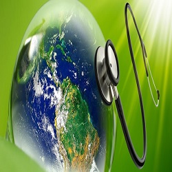 Healthcare Sustainability :: Advanced Healthcare, Hospital Management, and Patient Safety