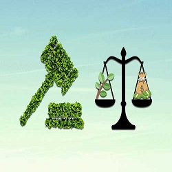 Environmental Policy and Regulations :: Recycling and Waste Management