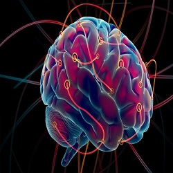 Neuropsychiatric Disorders :: Mental Health and Human Resilience