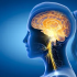 Pediatric Neurology :: Advanced Pediatrics and Neonatology