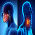 Head & Neck Oncology: From Diagnosis to Reconstruction :: Otolaryngology and ENT Disorders