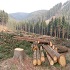 Deforestation :: Earth Science and Climate Change