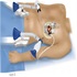 Cardiothoracic Surgery & Anesthesia :: Advances in Surgery and Anesthesia
