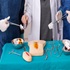 Surgical Education & Simulation :: Advances in Surgery and Anesthesia