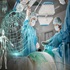 Global Surgery & Anesthesia :: Advances in Surgery and Anesthesia