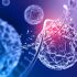 Stem Cells and Regenerative Medicine :: The Future of Human Health 2.0